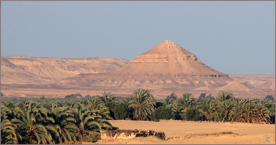 Desert Egypt Safari